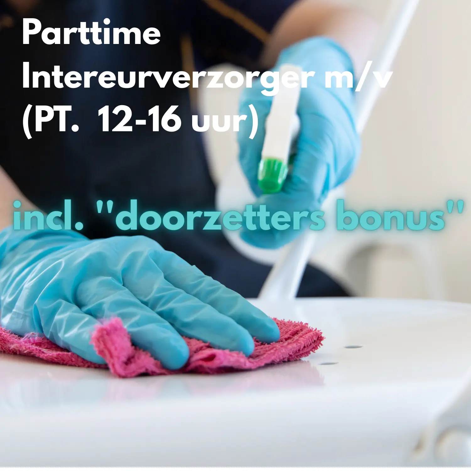 interieurverzorger